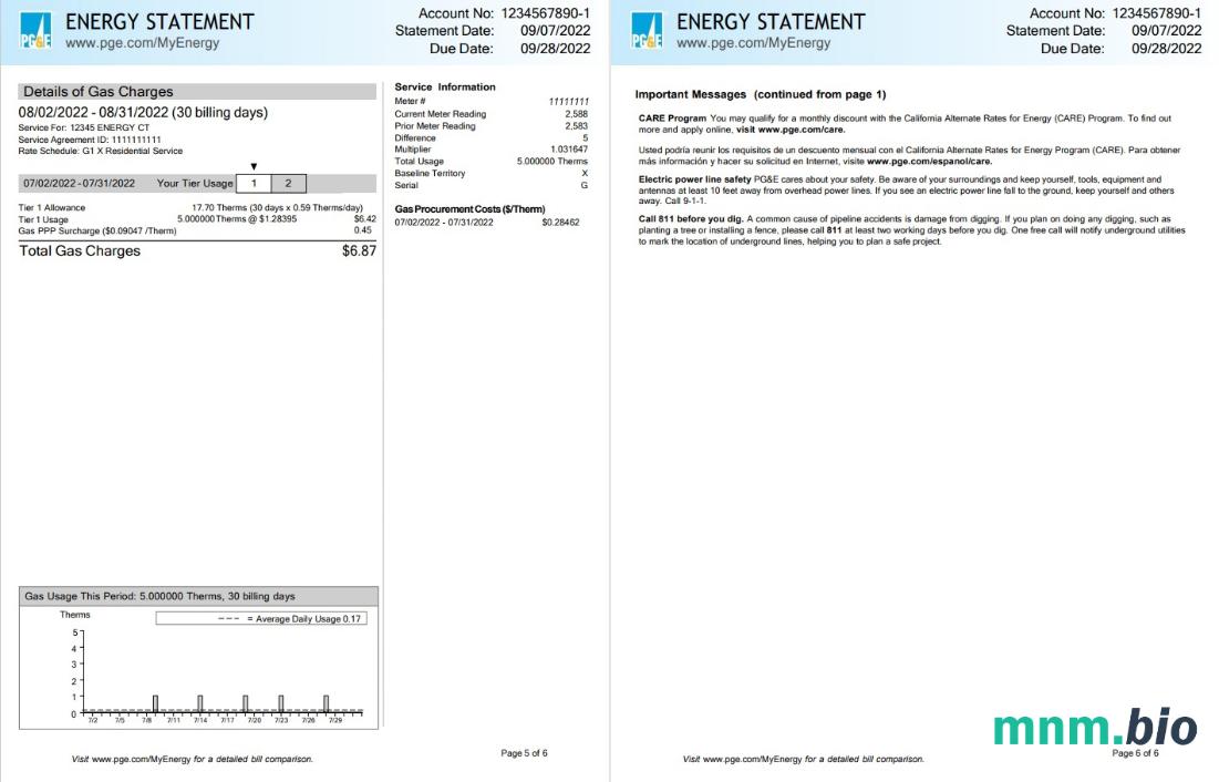 Usa California PG &E (Pacific Gas and Electric Firma) rachunek za media, szablon Word i PDF, 6 stron 5 6